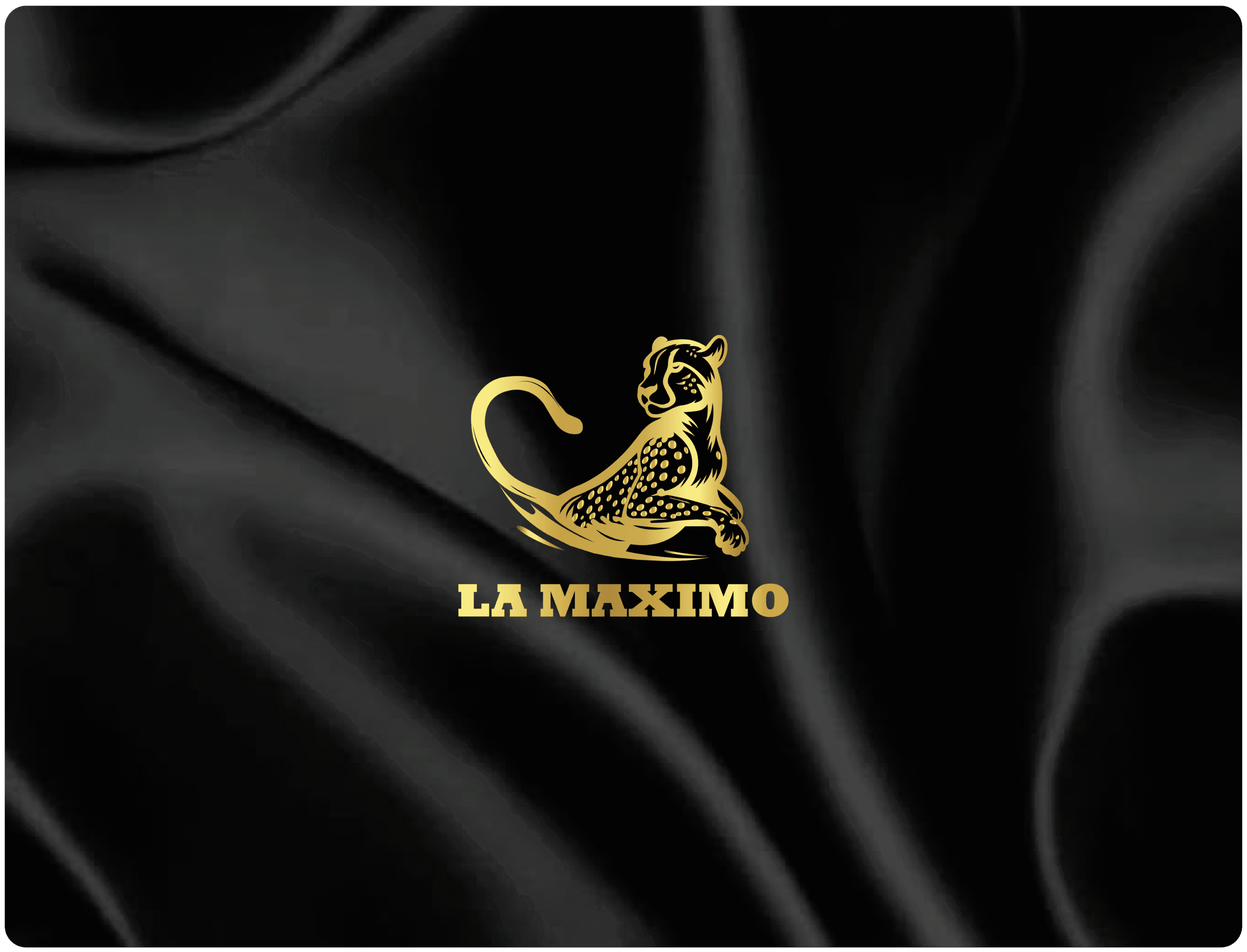 LA Maximo 1-01